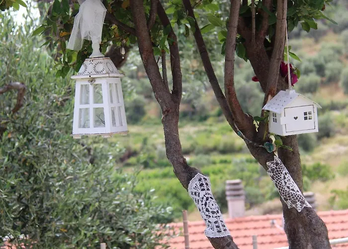 Il Sole Di Poggi Bed & Breakfast Imperia