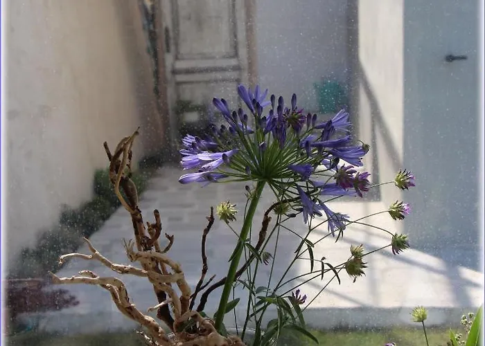 Il Sole Di Poggi 4* Imperia