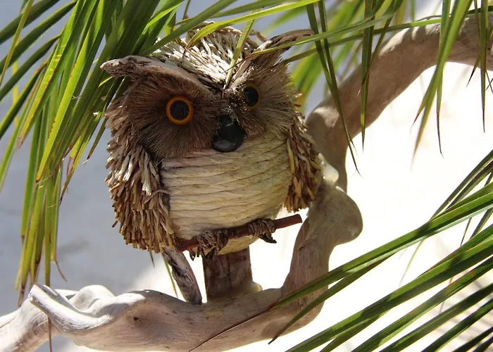 Il Sole Di Poggi Bed & Breakfast