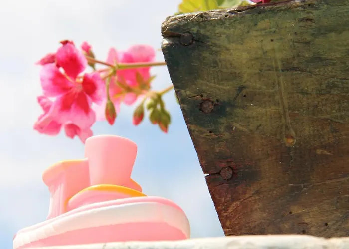 Il Sole Di Poggi 4* Imperia