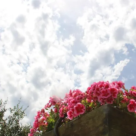 Il Sole Di Poggi 4*