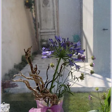 Il Sole Di Poggi 4* אימפריה