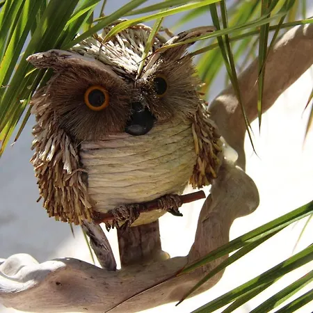 Il Sole Di Poggi Bed and Breakfast